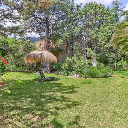 L'hort Petit De Ternelles, En Casa vacanze Pollença
